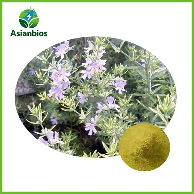 Rosemary Extract Bulk